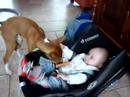 Mirtillo meets Rowen Mirtillo meets Rowen