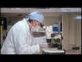 Where Do Frozen Embryos Come From? Embryo Donation Adoption