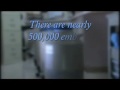 Where Do Frozen Embryos Come From? Embryo Donation Adoption
