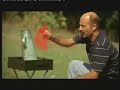 Gül?en Karanl?k - I Will Survive ( Polis Soundtrack) Gül?en Karanl?k - I Will Survive ( Polis Soundtrack)