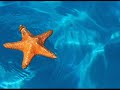 Maldives by Puturist.com