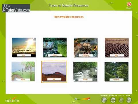 role of individual in conservation of natural resources essay role of individual in conservation of natural resources essay