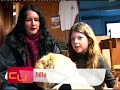 kinderwunsch hundetraining