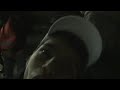 Night Street Harzer Boys - McChair