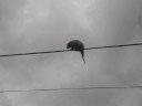 Natureza em equilíbrio