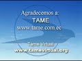 Flight Loja Quito Ecuador Fokker 28 TAME