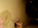 richo\