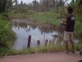 haruan haruan