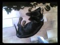 spillo (Coldplay) Clok\