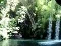 Jungle Cruise