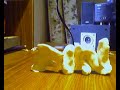Clay Fun