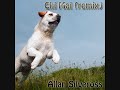 Allan Silveross - Chi mai (remix)