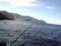 Taz's Fish Kagami Ulua (#1)