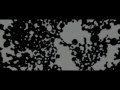 Please check out some of my Arctic Monkeys covers: www.youtube.com The Arctic Monkeys video for their latest single 'My Propeller' from the album Humbug.