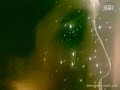 Tania Nassibian - Dakry gyali