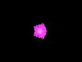 Fata Morgana visual mix to \ Fata Morgana visual mix to \