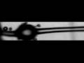 Pilobolus: Ultra-High-Speed Fungus Spore Discharge
