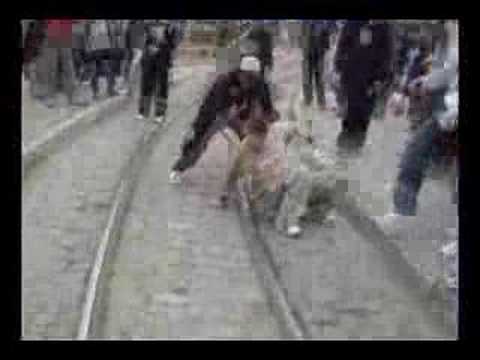 parkour jam iasi 2007