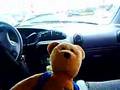 News anchor McBear