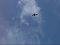 Ladowania(landings) 20.08 ?roda. part 1