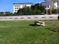 Salto costal