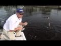 Great Tarpon Fishing in Boca Grande Cape Coral Ft. Myers! Chew On This