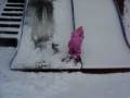 Reanne Frances going down the slide full of snow