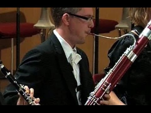 Ein Orchester - Die Bläser (2/3)