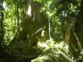 videos de Salto dos Macacos