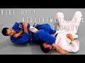 Roy Dean Academy BJJ: Blue Belt Requirements