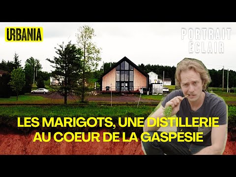 Les Marigots, une distillerie au coeur de la Gaspésie | Portrait éclair