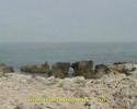1-Seashore of faroor