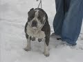 Outlaw Kennels 2008