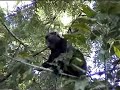 MagicalKenya - Kakamega