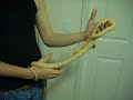 male albino tiger retic...update