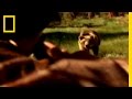 Zobacz film