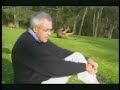 Canguro aburrido en el parque