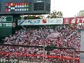Carp Scwat