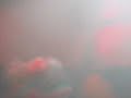 dansatoarele-andei-a