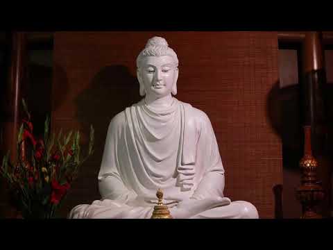 NIKAYA Thiền Quán - Sự Tầm Cầu Của Bậc Thánh & Chia Sẽ Cảm Xúc