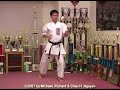 Isshinryu Karate and Kobudo DVD Series