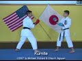 Isshinryu Karate and Kobudo DVD Series Image 3