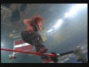lita the bets diva