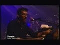 concert de zenzile au festival 