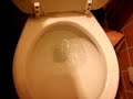 Toilet flushing in other direction experimental debunk Toilet flushing in other direction experimental debunk