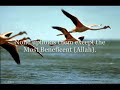 Surah al-Mulk (Chapter 67: Holy Qur\ Surah al-Mulk (Chapter 67: Holy Qur\