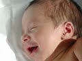 La bellezza - Niccol� Fabi