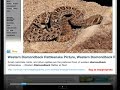 Searchme Demo