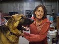 Dodge Search & Rescue.AVI