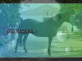 HISPANOARABES-YEGUADA FAMILIA GUERRERO